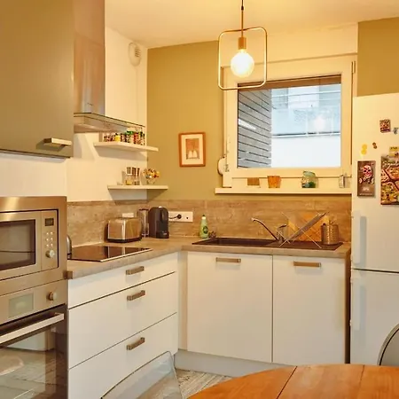 Proche Du Centre Avec Grande Terrasse Appartement Strasbourg